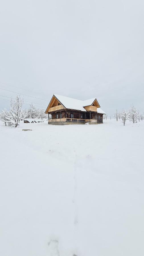 Casa Bunicilor Din Oncesti 빌라 외부 사진