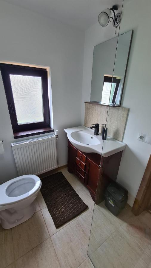 Casa Bunicilor Din Oncesti 빌라 외부 사진