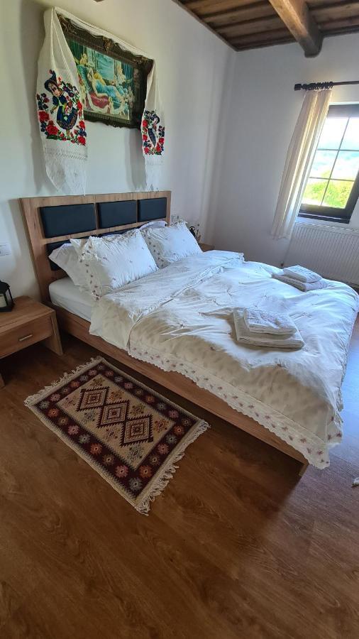 Casa Bunicilor Din Oncesti 빌라 외부 사진