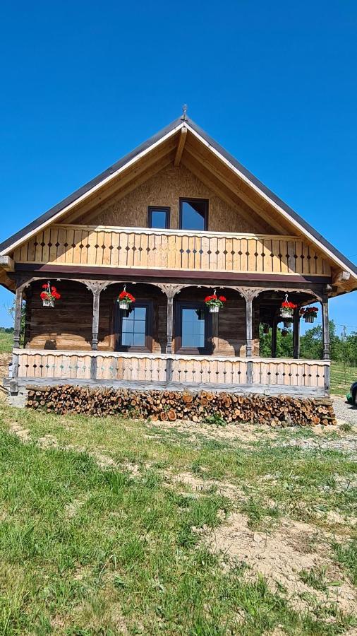 Casa Bunicilor Din Oncesti 빌라 외부 사진