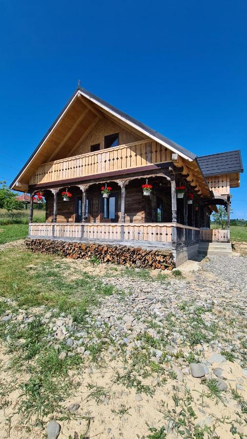 Casa Bunicilor Din Oncesti 빌라 외부 사진