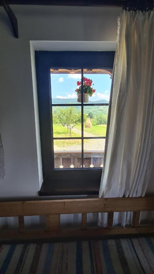 Casa Bunicilor Din Oncesti 빌라 외부 사진