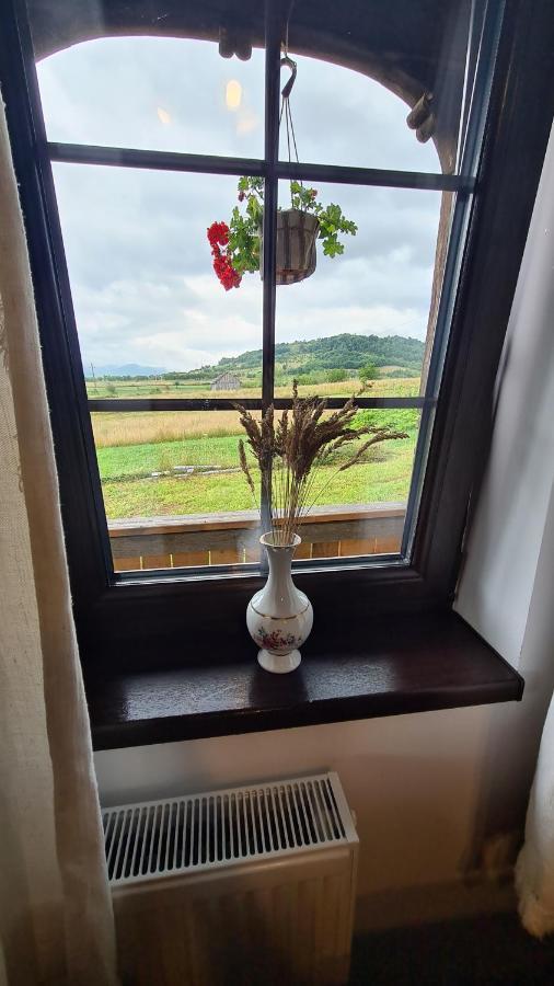 Casa Bunicilor Din Oncesti 빌라 외부 사진